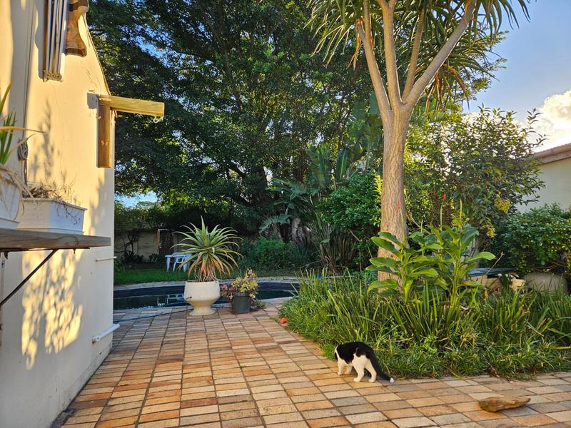 To Let 4 Bedroom Property for Rent in Grahamstown Eastern Cape